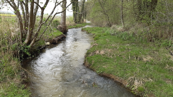 La qualité de l’eau s’améliore sur plusieurs critères