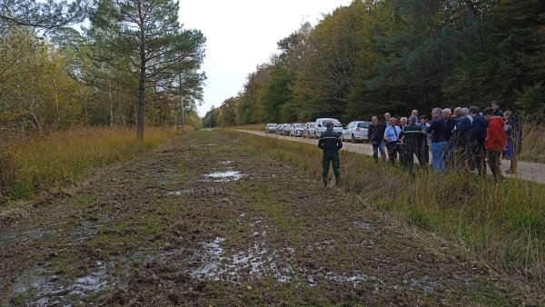 Micro-prairies en forêt de Chaux 