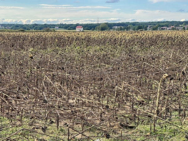 Une tornade de vents et de grêle dans le Val d’Amour