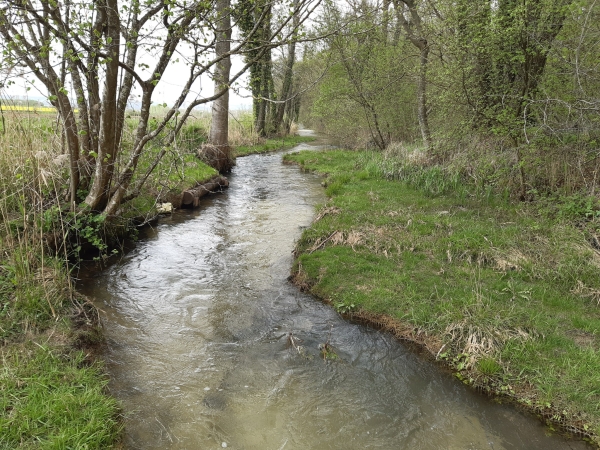 La qualité de l’eau s’améliore sur plusieurs critères