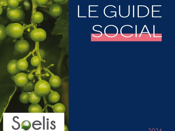 Un guide social pour des vendanges réussies