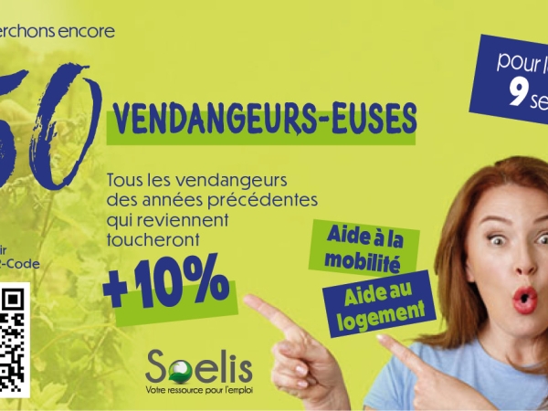 Participez aux vendanges jurassiennes !