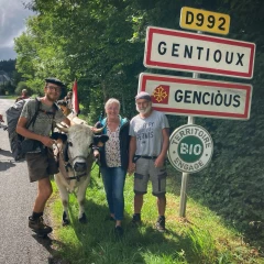 Modestine, la génisse qui marche contre le cancer