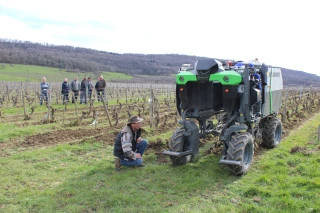 Un enjambeur autonome dans les vignes arboisiennes