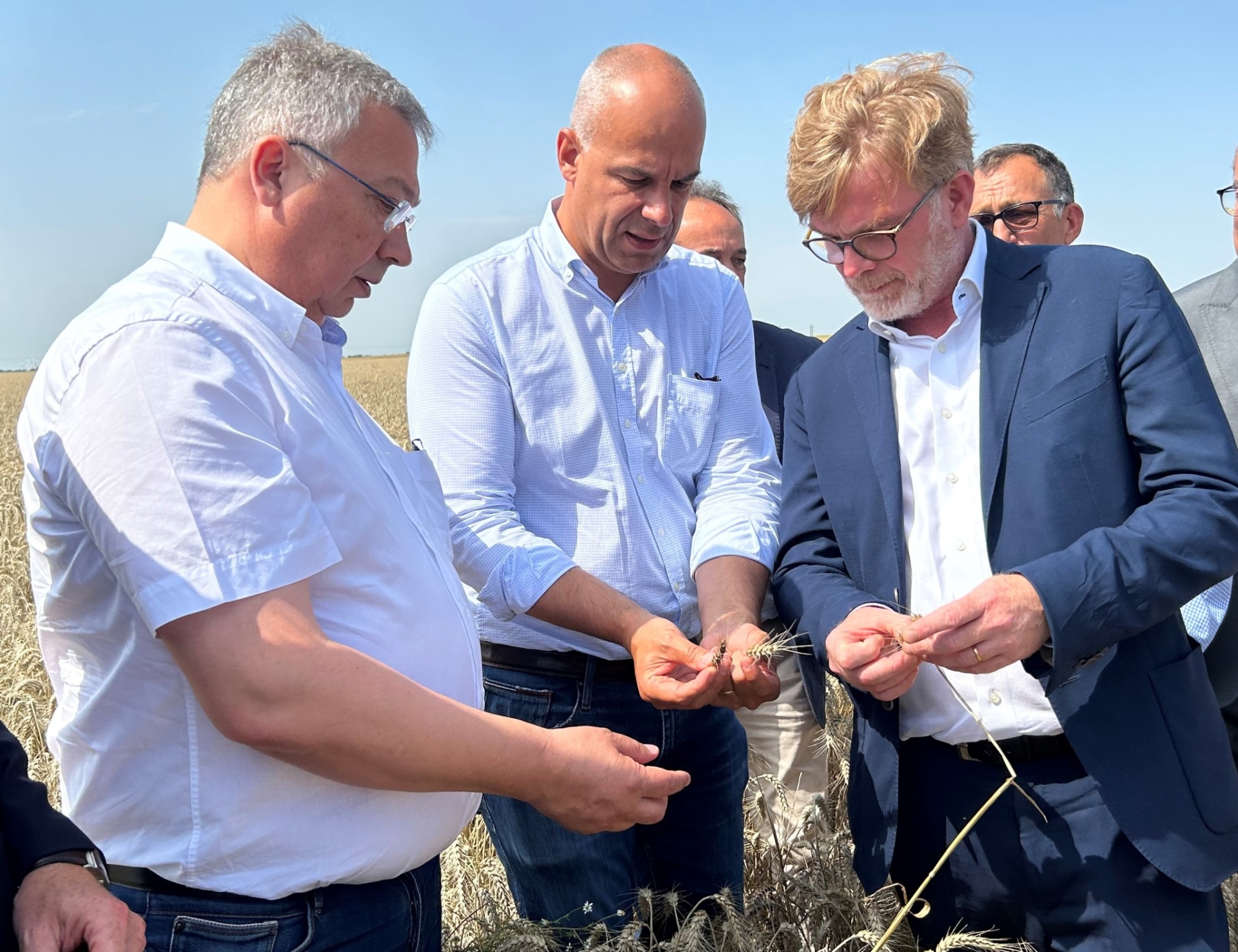 Les céréaliers appellent Marc Fesneau à des mesures d’urgence