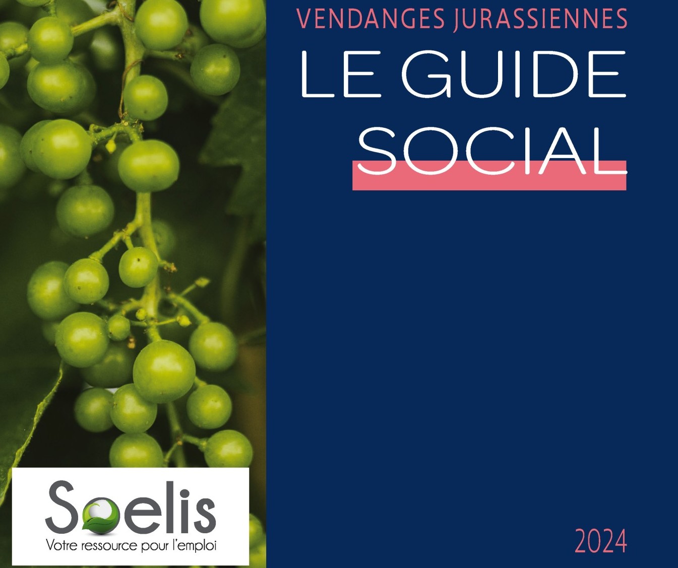 Un guide social pour des vendanges réussies