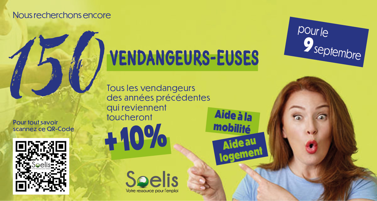 Participez aux vendanges jurassiennes !