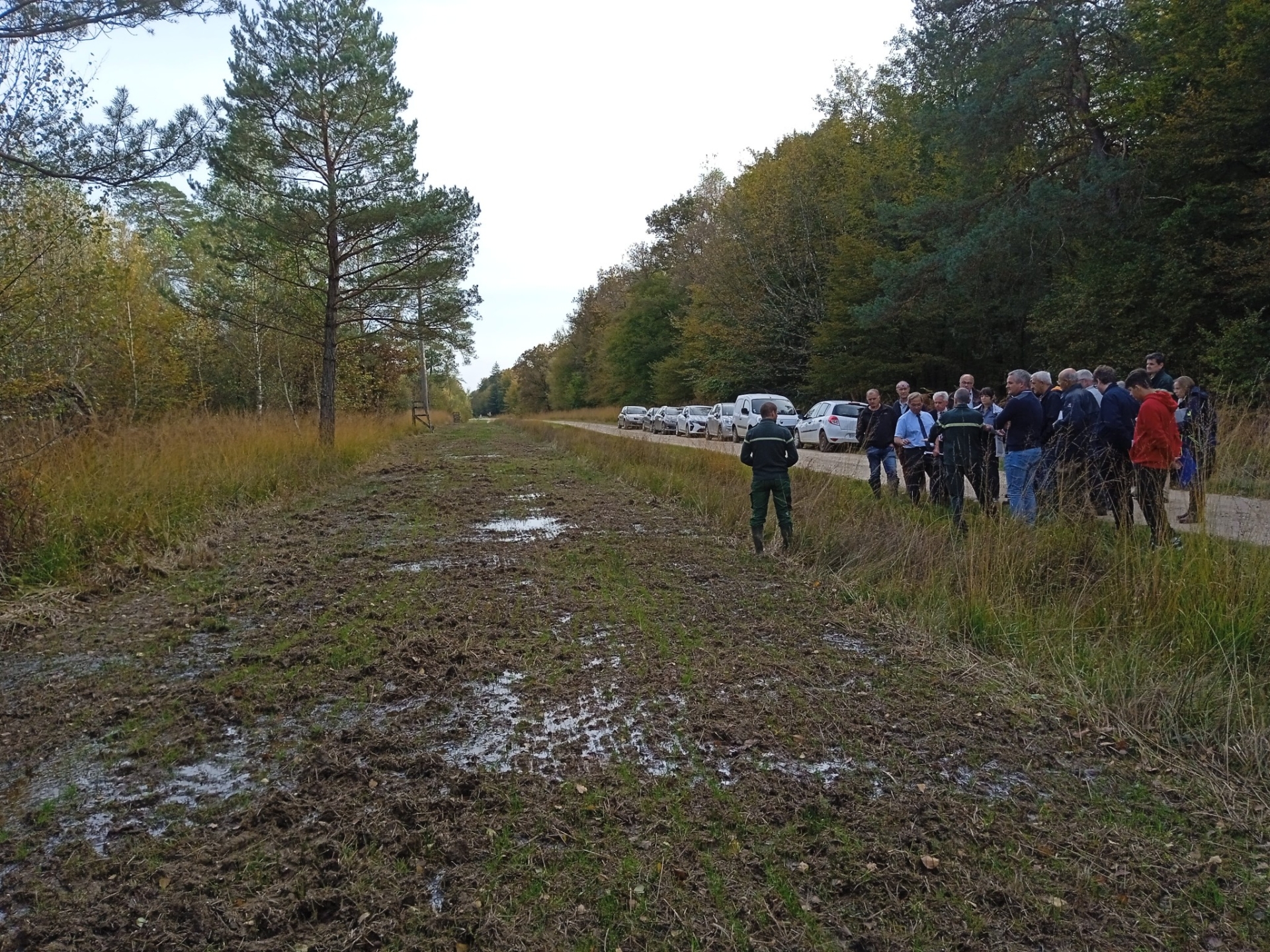 Micro-prairies en forêt de Chaux 