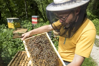 De la ruche aux papilles, un miel engagé