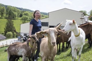 La coiffeuse devenue chevrière